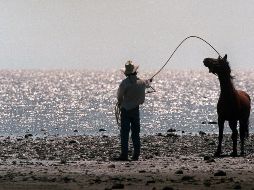 Al día de hoy, el lago más grande de México registra un volumen del 36.32%. EL INFORMADOR/ ARCHIVO