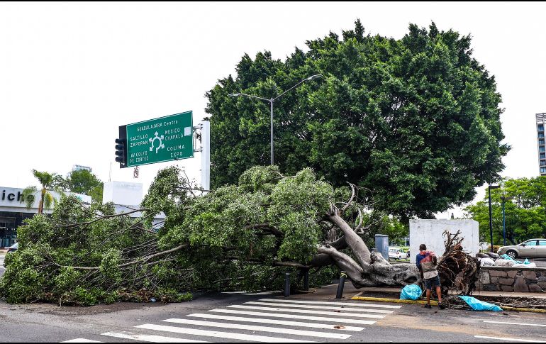 EL INFORMADOR / A. Navarro