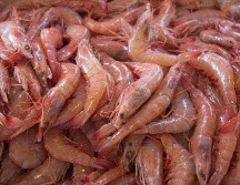 Las vacunas para alergia no tienen indicación para todas las enfermedades de este tipo, por ejemplo, el tratamiento de la alergia a fármacos o alimentos es la eliminación absoluta de estos. NTX / ARCHIVO