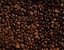 El café se obtiene de una semilla de arbusto que se le conoce como Cafeto. ESPECIAL / UNSPLASH / M. Kenneally