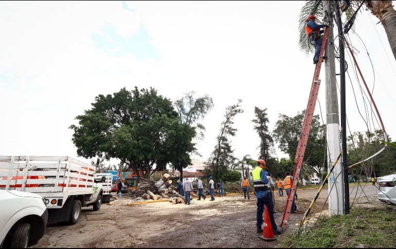 La CFE no informó el tiempo estimado en el cual pueda quedar solventadas las afectaciones. EL INFORMADOR/ H. Figueroa
