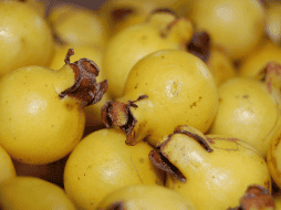 Destaca por ser una fuente excepcional de vitamina C, superando incluso a la naranja. UNSPLASH / C. APPTA