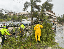 Policías y miembros de Protección Civil levantan árboles caídos tras el paso del huracán 