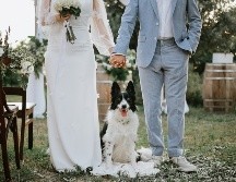 Considera darle a tu mascota un rol en la boda, como portador de anillos, mascota de honor o simplemente un invitado con un atuendo especial. ISTOCK GETTY IMAGES