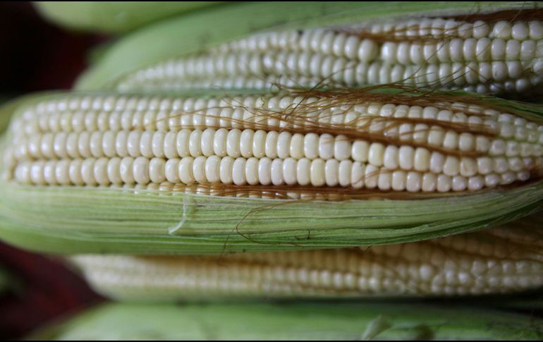 Los expertos en alimentación recomiendan este alimento para facilitar la digestión, ya que posee grandes cantidades de fibra. EFE / ARCHIVO