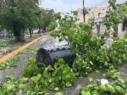 Al momento, se reportan inundaciones en algunas colonias tras el paso del huracán 