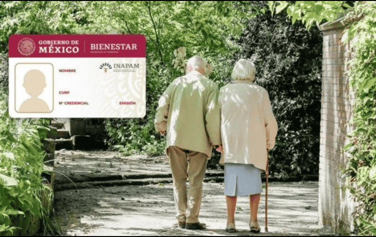 Conoce algunos de los beneficios que ofrece INAPAM este 2024.Unsplash