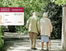 La credencial del INAPAM brinda acceso gratuito a descuentos y apoyos en salud, transporte, alimentación y cultura. UNSPLASH.