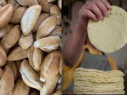 En México, tanto el bolillo como la tortilla son elementos clave de la cocina nacional, cada uno con una profunda conexión cultural y arraigadas preferencias regionales. Pixabay / SUN