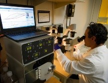 Existen varios factores de riesgo con esta enfermedad. UNSPLASH / NCI