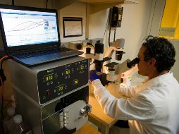 Existen varios factores de riesgo con esta enfermedad. UNSPLASH / NCI