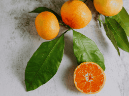 El alimento ideal para sumar a nuestra dieta para disfrutar de su sabor y beneficios. Unsplash