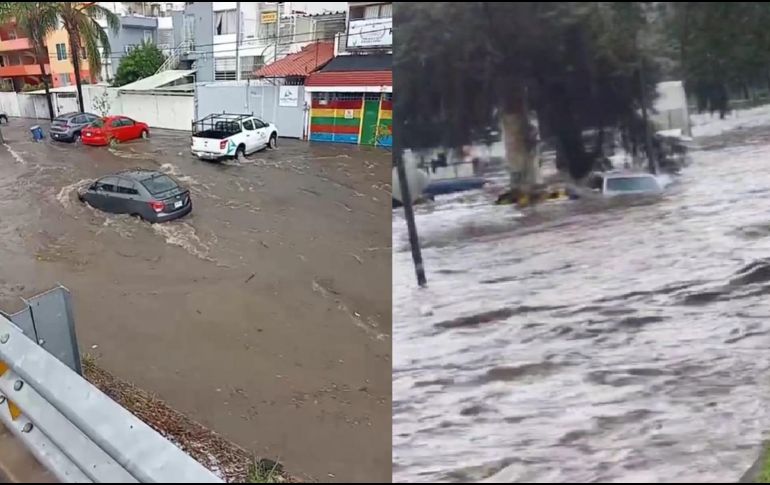 Los reportes de afectaciones y daños en la Zona Metropolitana de Guadalajara (ZMG) continúan, en los que predominan inundaciones en vías públicas y árboles caídos en distintos puntos de la ciudad. ESPECIAL
