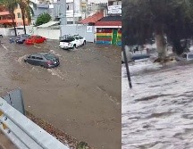 Los reportes de afectaciones y daños en la Zona Metropolitana de Guadalajara (ZMG) continúan, en los que predominan inundaciones en vías públicas y árboles caídos en distintos puntos de la ciudad. ESPECIAL