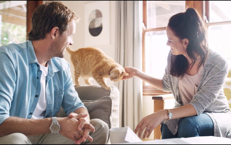 Si ambos son amantes de los animales, es probable que compartan valores similares. GETTY IMAGES ISTOCK