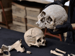 Entre los descubrimientos destacados se encuentra el esqueleto de una mujer de entre 35 y 40 años, del 