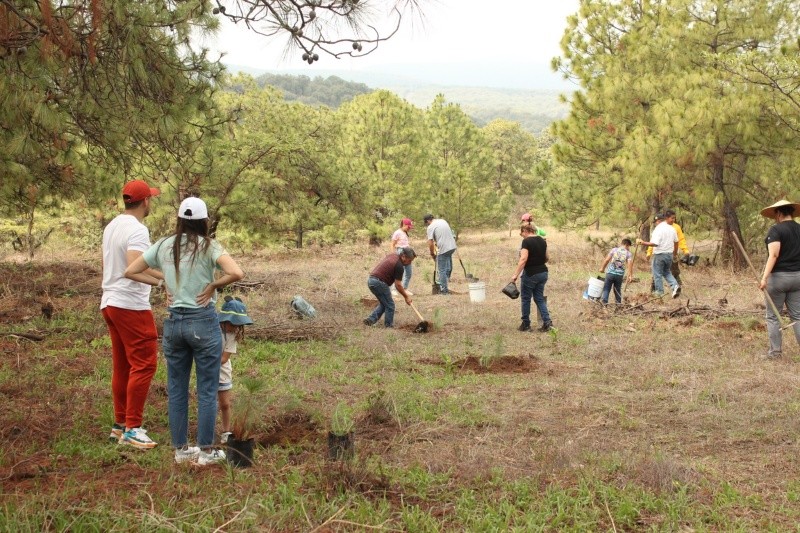 Año con año crece el interés de la ciudadanía de participar en esta tarea. CORTESÍA 