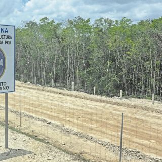 Constructores piden mayor participación en obra pública