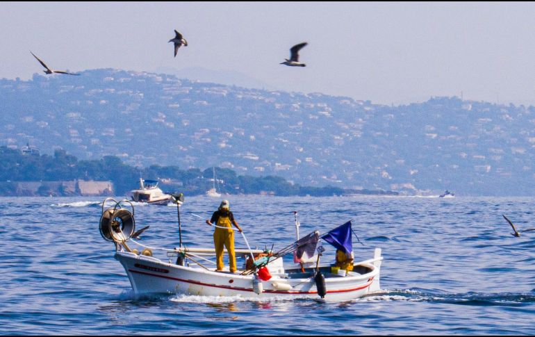 Este documento fue elaborado para comprender los impactos a largo plazo del cambio climático en ecosistemas marinos y pesca. UNSPLASH / P. PAAS