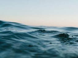 Se analizó la actividad biológica y las concentraciones de carbono, nutrientes, hierro y ligandos del modelo oceánico. UNSPLASH / M. HARDY