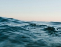 Se analizó la actividad biológica y las concentraciones de carbono, nutrientes, hierro y ligandos del modelo oceánico. UNSPLASH / M. HARDY