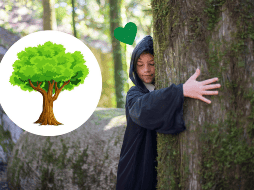 A medida que celebramos este día, renovemos nuestro compromiso de preservar y valorar los árboles no solo por su belleza y utilidad, sino por el papel vital que desempeñan en la salud y el bienestar de nuestro planeta y de las generaciones venideras. CANVA