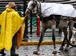 El Servicio Meteorológico Nacional emitió una alerta por lluvias puntuales intensas en Jalisco y otros seis estados de la República. EL INFORMADOR / ARCHIVO