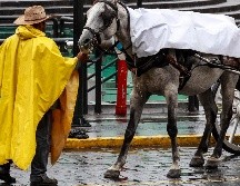 El Servicio Meteorológico Nacional emitió una alerta por lluvias puntuales intensas en Jalisco y otros seis estados de la República. EL INFORMADOR / ARCHIVO