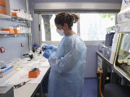 Estas son las formas de contagio según la OPS. EFE / ARCHIVO