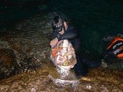 La basura se compone principalmente de plásticos y envases de vidrio. ESPECIAL