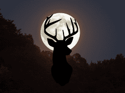 Durante esta época, la luna se distingue por aparecer en las tardes y ponerse en el oeste al amanecer. ESPECIAL/CANVA