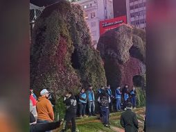 El hincha, de 29 años, falleció en el acto. CORTESÍA