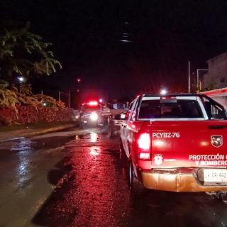 Inundaciones y árboles caídos persisten en la ZMG