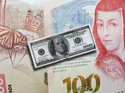 Según Bloomberg, el peso mexicano cae 1.07% frente al dólar esta mañana del lunes 15 de julio. EL INFORMADOR / O. Álvarez