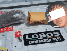 Los elementos municipales realizaron la inspección conforme a los protocolos de seguridad, en la que aseguraron una bolsa de plástico con los 250 gramos de marihuana. ESPECIAL