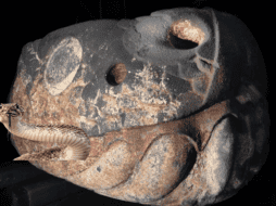 El culto por esta especie, viene desde muchos años atrás, desde tiempos ancestrales para las culturas prehispánicas. Gobierno de México/ www.gob.mx/ ESPECIAL