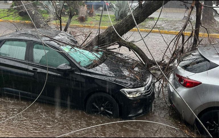 El temporal de este año ha provocado daños tanto materiales como humanos, pero existen herramientas informativas públicas y gratuitas que te ayudarán a prevenir accidentes y reducir riesgos. CORTESÍA/Tráfico ZMG