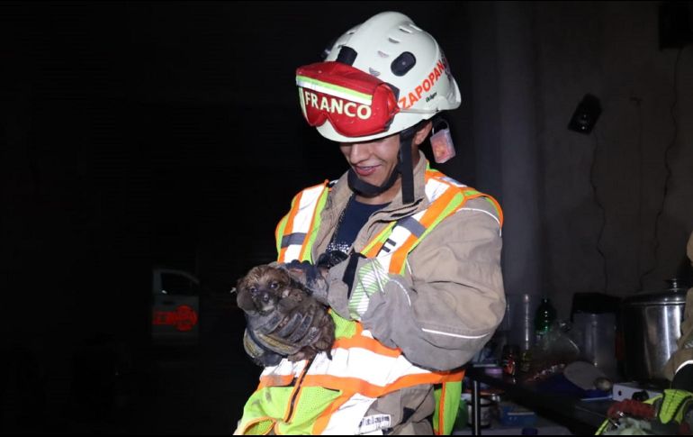 La dueña del cachorro, de nombre Consuelo, dijo que escuchó a lo lejos el llanto del perrito, por lo que tuvo que dar parte al 911 para poder lograr la rápida extracción del animal. ESPECIAL / PROTECCIÓN CIVIL Y BOMBEROS ZAPOPAN