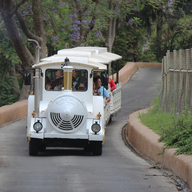 FACEBOOK / ZOOLÓGICO GUADALAJARA&nbsp;