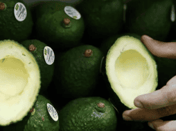 La industria aguacatera representa un negocio de 3 mil 600 millones de dólares anuales. EFE/ARCHIVO