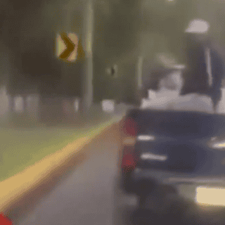 Hombre arroja gatos desde una camioneta en movimiento en Edomex