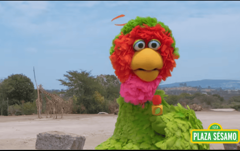 El pasado 23 de enero, autoridades de Puebla y representantes del parque Africam Safari dieron oficialmente la bienvenida a Benito en su nuevo hogar. ESPECIAL/YOUTUBE/Plaza Sésamo.