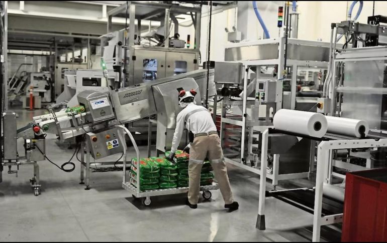 El IGAE y sus componentes se dan a conocer aproximadamente 8 semanas después de terminado el mes de referencia. SUN / ARCHIVO