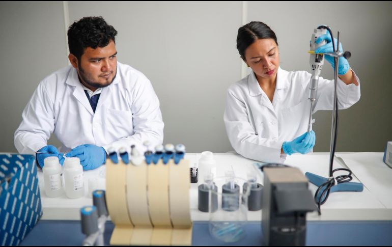 Más de un centenar de personas han muerto por dengue en Centroamérica y el Caribe en lo que va de año, donde se produjeron al menos 200 mil casos. EFE/ Rodrigo Sura