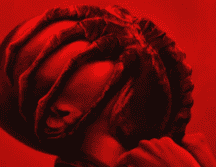 Un filme que traerá de regreso el terror y peligro del personaje xenomorfo: ESPECIAL / 20th Century Studios.