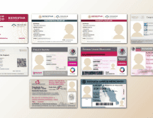 Cualquiera que cuente con esta tarjeta puede gozar de este beneficio en los diferentes Estados de la República. ESPECIAL / gob.mx