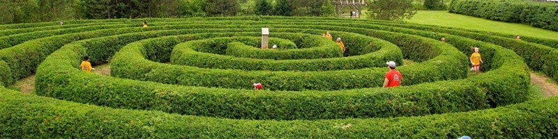 &nbsp;Ottawa. CORTESÍA