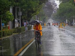Las temperaturas serán agradablemente templadas. EL INFORMADOR / ARCHIVO