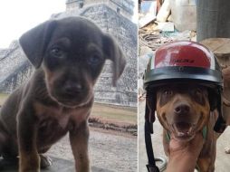 Duke era parte de los 