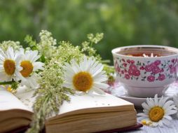 Las propiedades de esta planta tendrán un impacto más que positivo en el cuidado de la salud de aquellas personas que buscan ralentizar las consecuencias del avance de la edad. Pixabay.